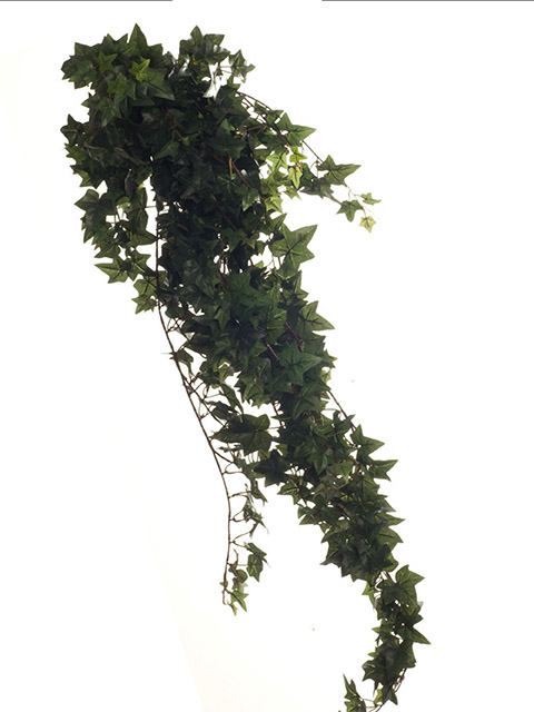 GREENERY, Ivy - Sage Ivy Bush 115cm
